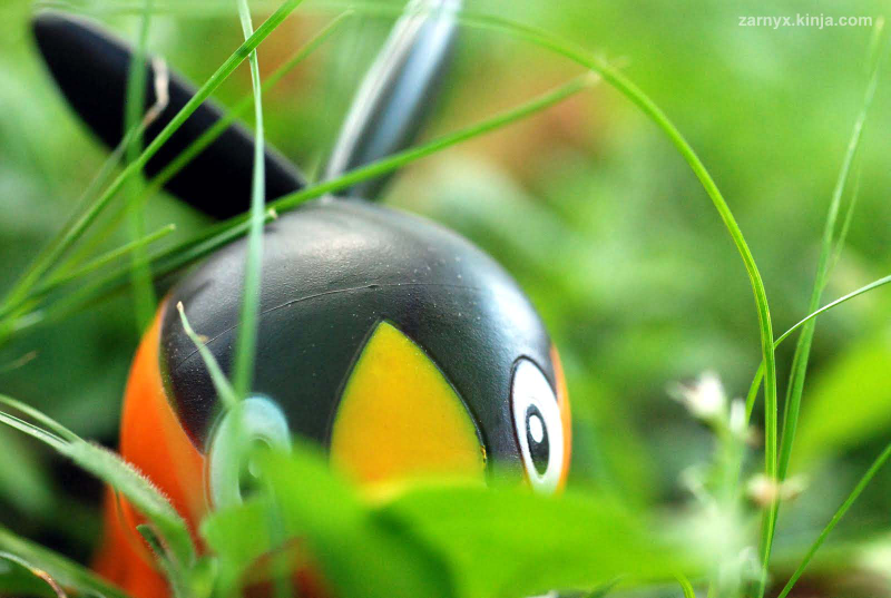 Illustration for article titled Pokémon (OH) Snap!: Hiding in the Tall Grass...(Part II)